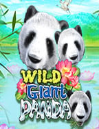 ทดลองเล่น สล็อต ท รู ง่ายๆ ได้ที่นี่เลย!